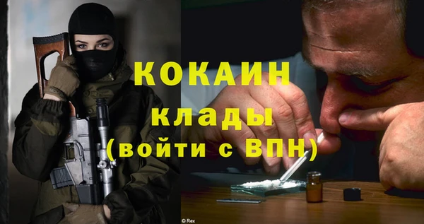 крисы Богородицк