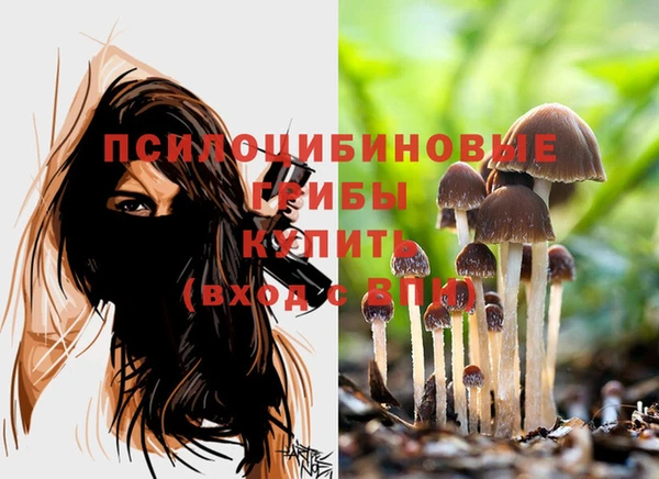 кокаин Богородск
