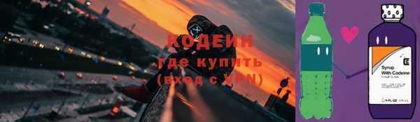 крисы Богородицк
