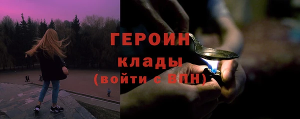 крисы Богородицк