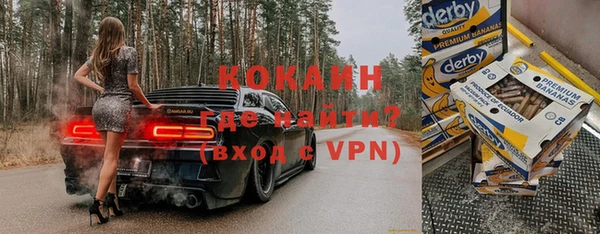 крисы Богородицк