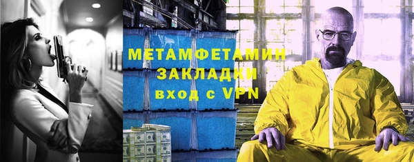 крисы Богородицк
