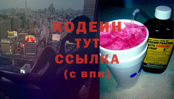крисы Богородицк