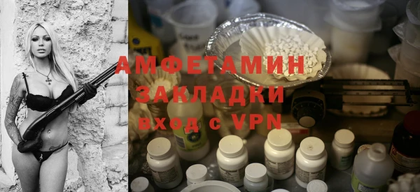 крисы Богородицк