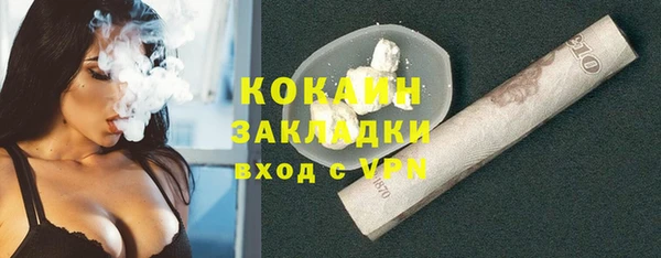 крисы Богородицк